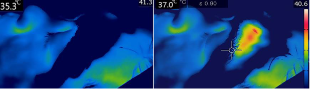 Sinergia MFU & RF — AV.+1.7°C